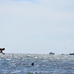 Jagthytten Skjoldemose * Stenstrup