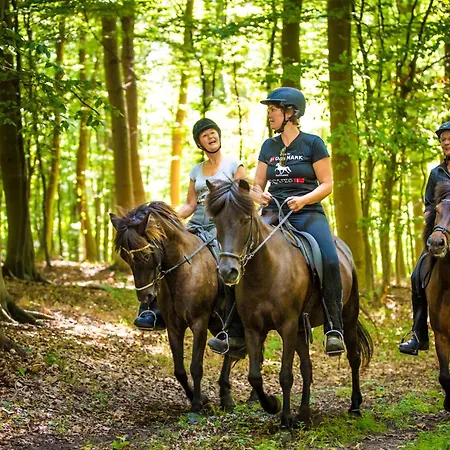 Jagthytten Skjoldemose Feriehus
