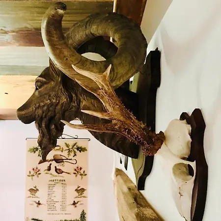 Feriehus Jagthytten Skjoldemose Stenstrup