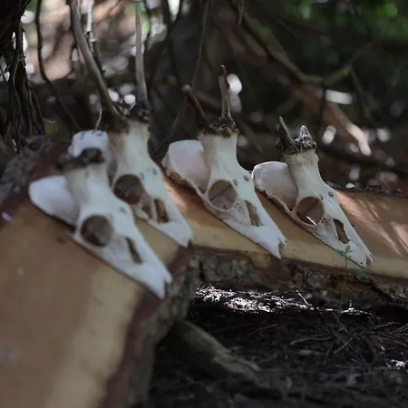 Jagthytten Skjoldemose Feriehus Stenstrup