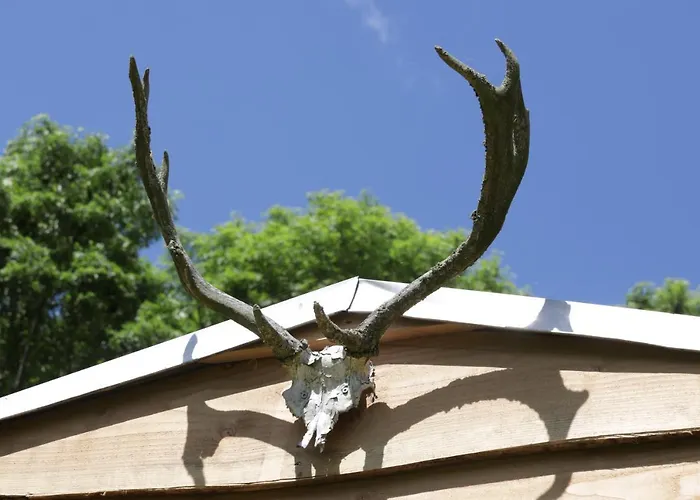 Jagthytten Skjoldemose *