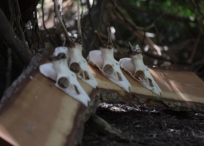 Jagthytten Skjoldemose בית נופש Stenstrup